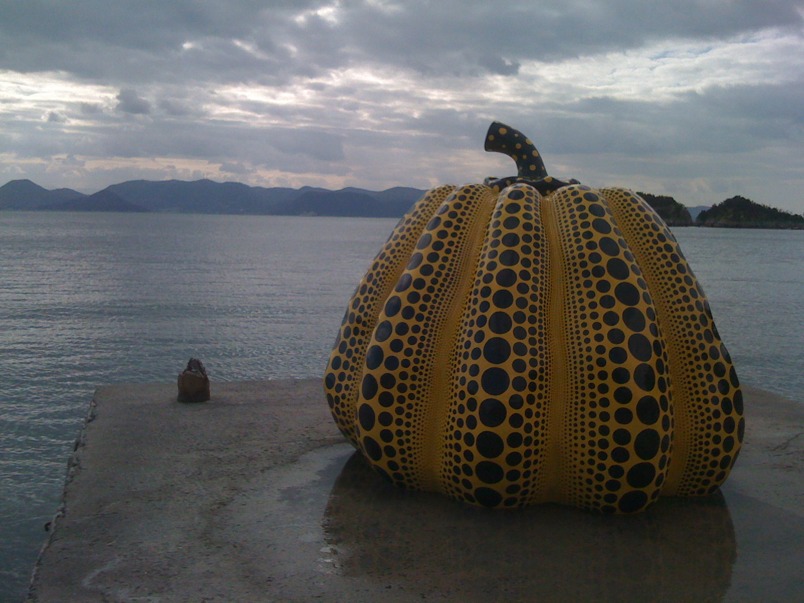 [IMG_0411[1]]